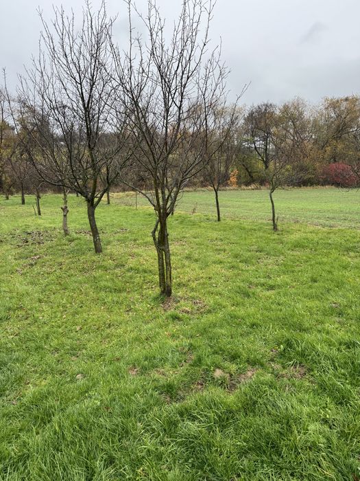 Dzialka rolna  35 arow