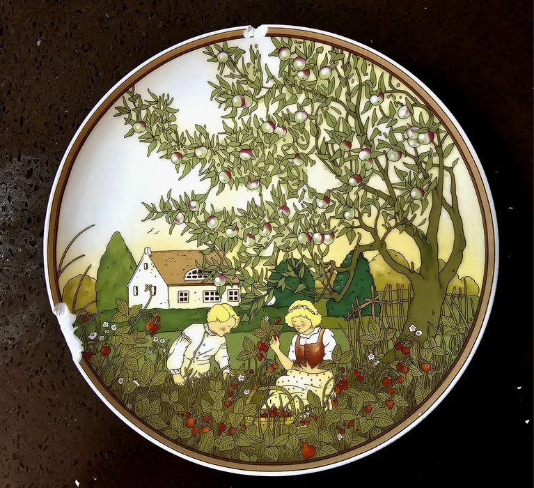 Тарілка Villeroy&Boch з нюансон