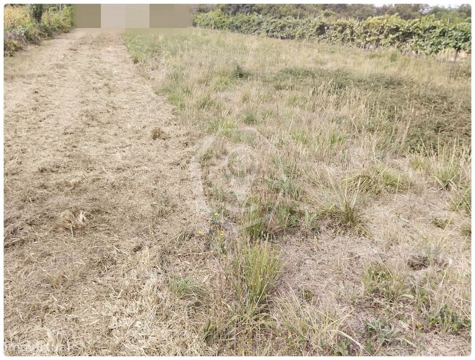 Terreno Para Construção - Duas Frentes!