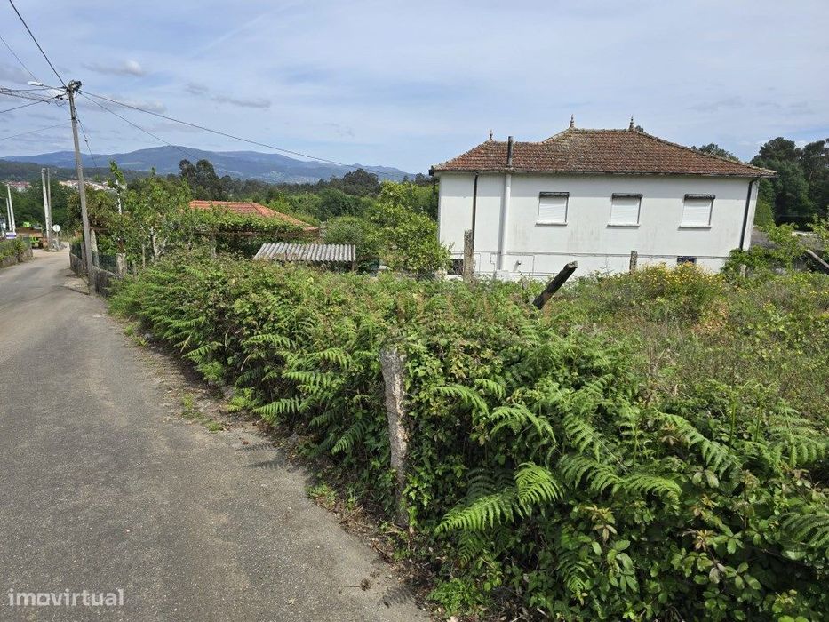 Terreno