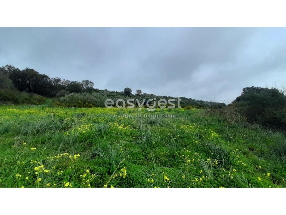 Terreno Rústico com 13960m2 a 2 km do centro de Pêro Pinheiro. — Almargem Do Bispo, Pêro Pinheiro E Montelavar, Lisboa