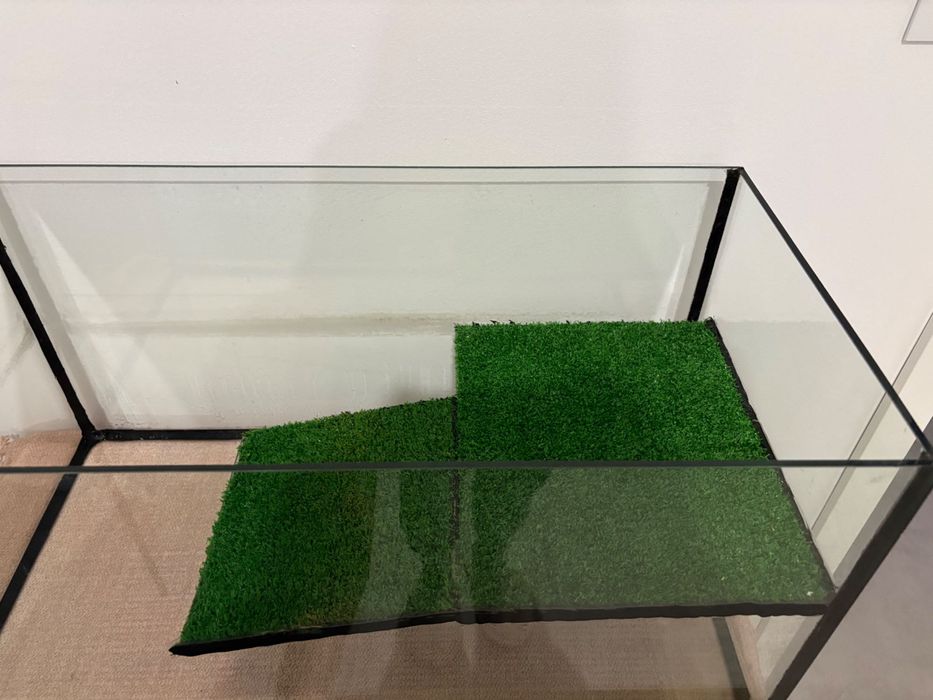 Aquário tartaruga