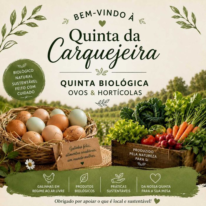 Ovos biologicos (cx 6) galinhas de bosque