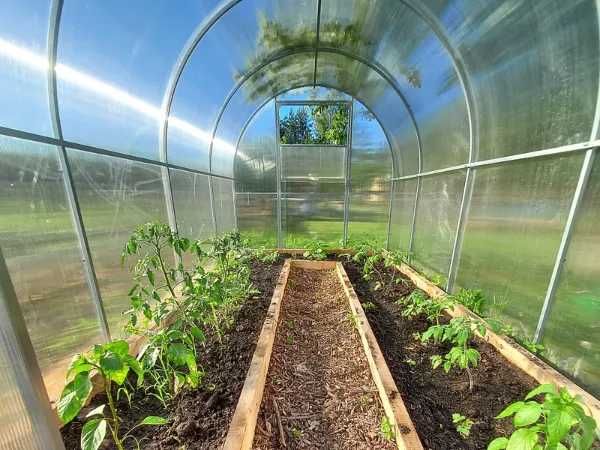Арочні теплиці з полікарбонатом/ з плівкою