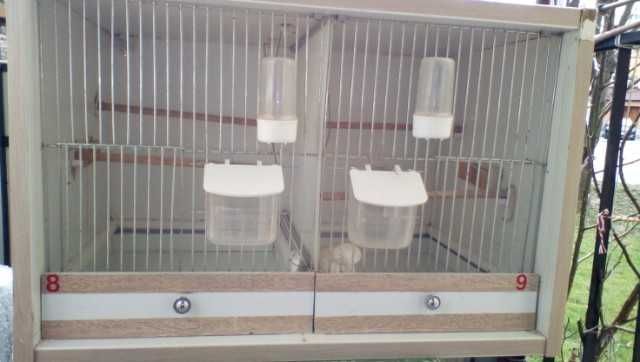 Regał dla kanarków z kanarkami / lub sam regał /