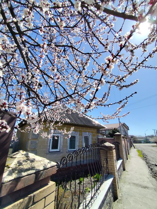 Продам цілий будинок на Тополянській