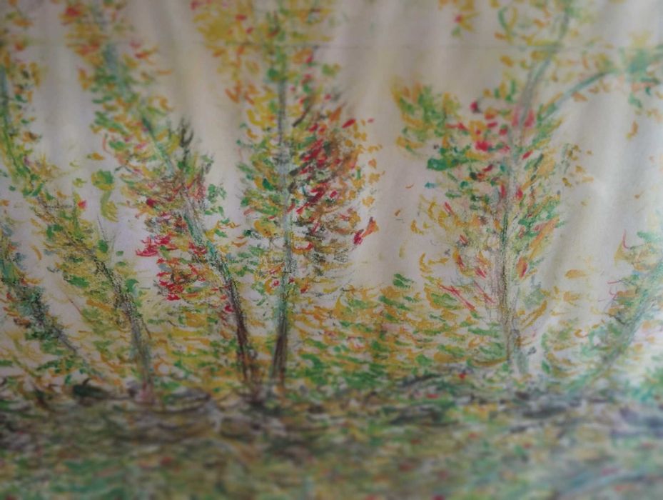 Desenho a lápis de cor quadro com moldura madeira e vidro