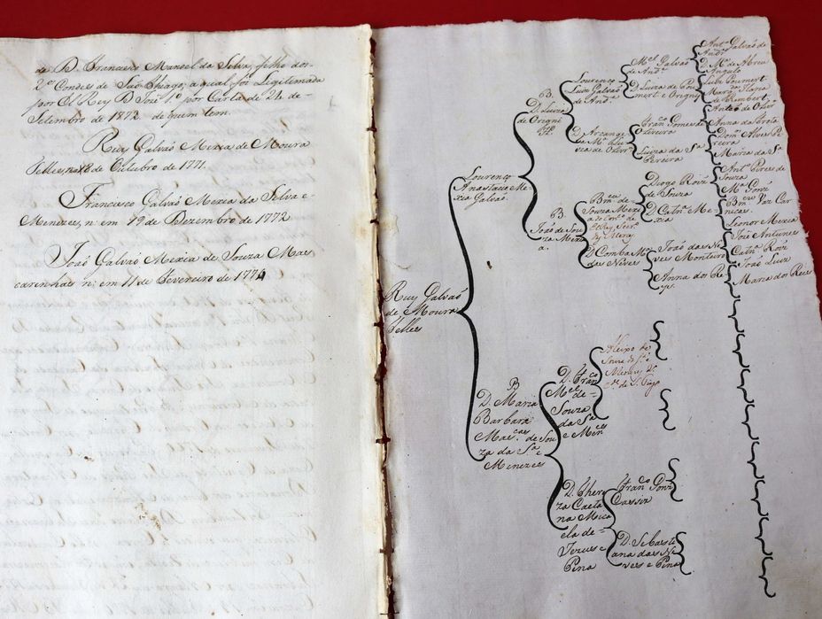 Comendadores de N Srª da Caridade de Monsaraz 1760 Mexia Galvão