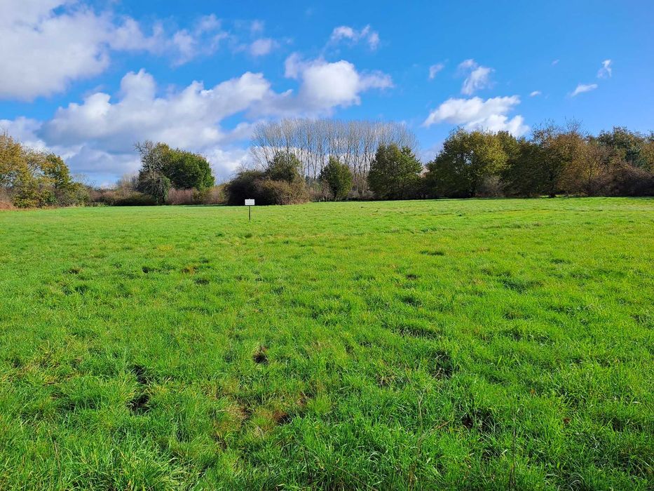 Vendo terreno em Douro Calvo, Sátão, Viseu