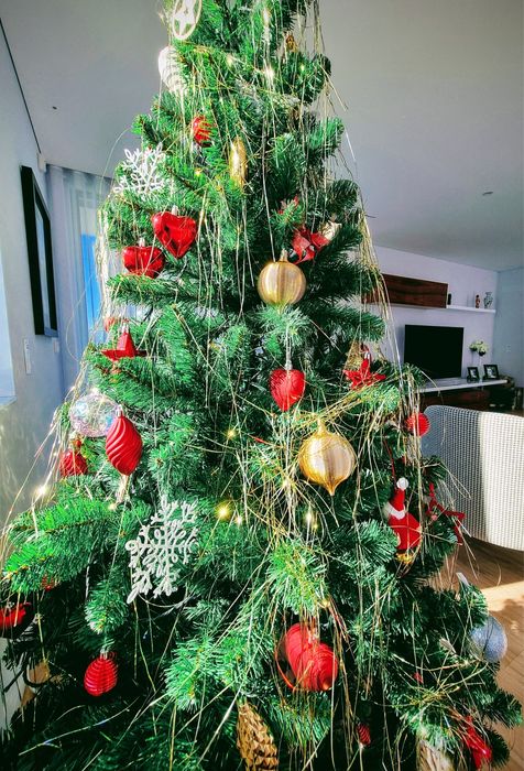 Vendo árvore de Natal