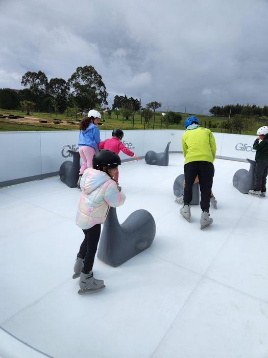 Pista de Gelo Sintético