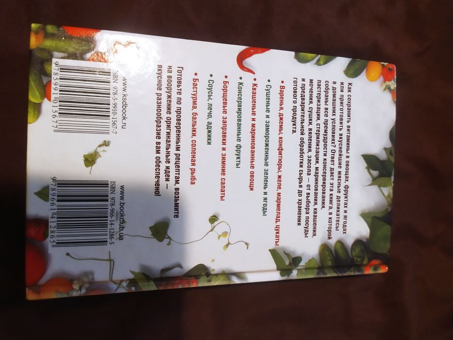 Книга  Домашня взезнайка та iнши