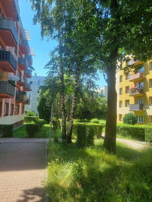 Ul. Sasanek, 3 pokoje z balkonem