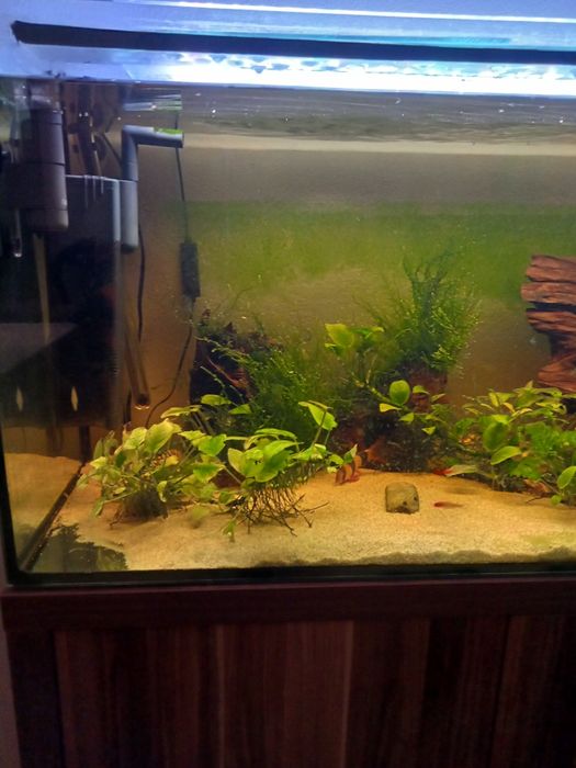 Aquário Equipado