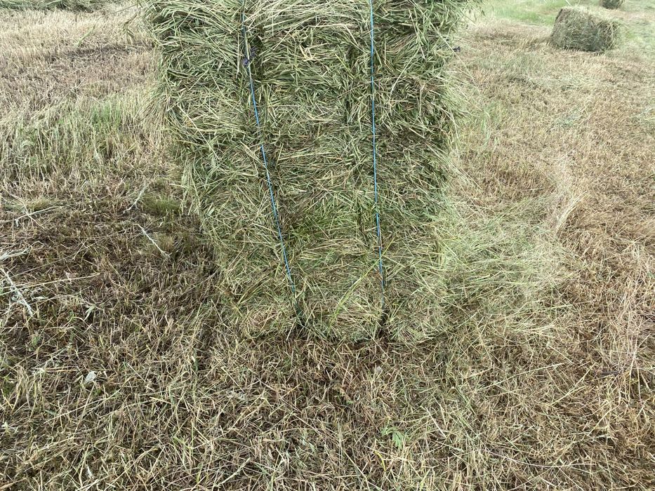 Продам сіно в тюках