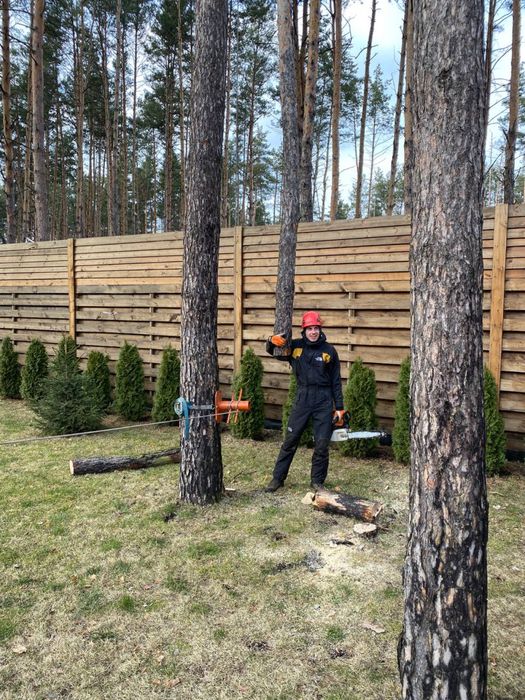 Спил дерев під ключ Київ / Видалення + корчування + утилізація / арборист услуги