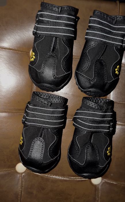 водонепроникне взуття для собак