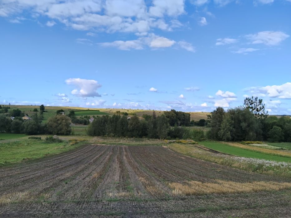 Продам земельну ділянку