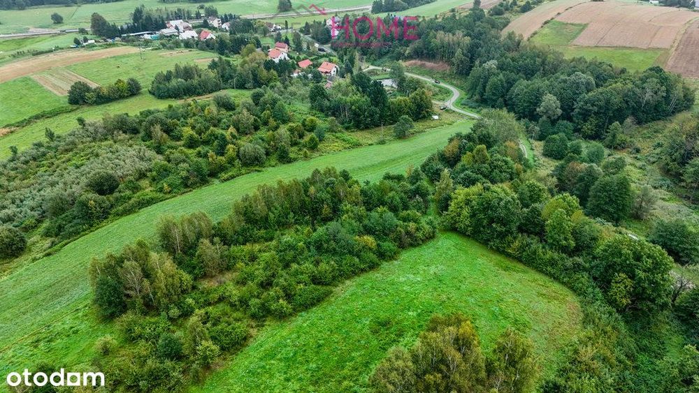 Nowy Borek 1,3675 ha- w trakcie Wz zagrodowa