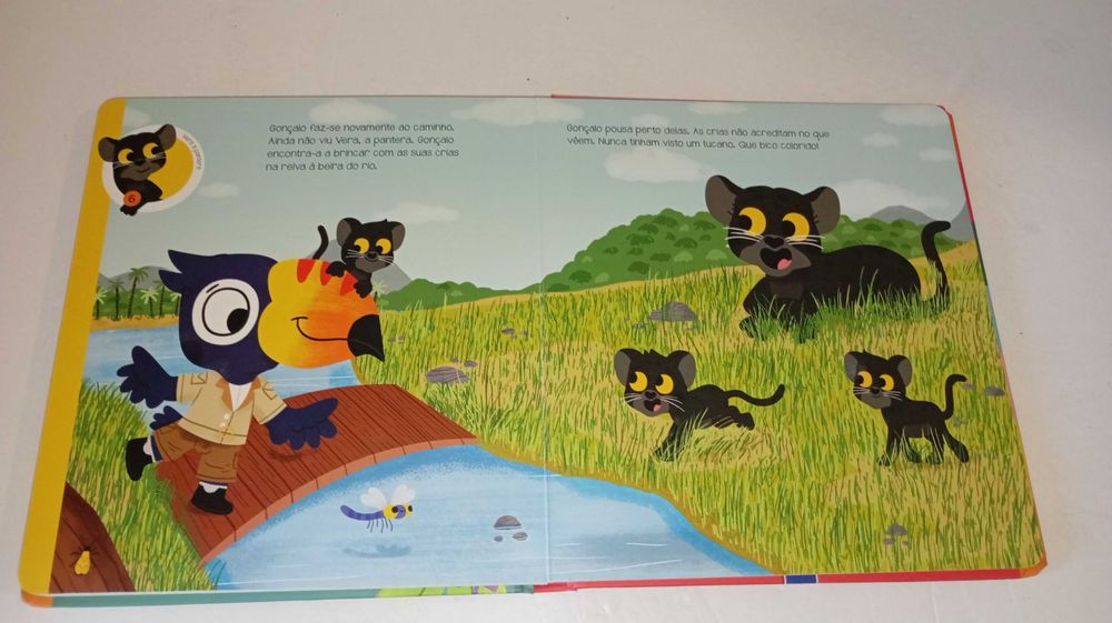 Hora do Conto na Selva