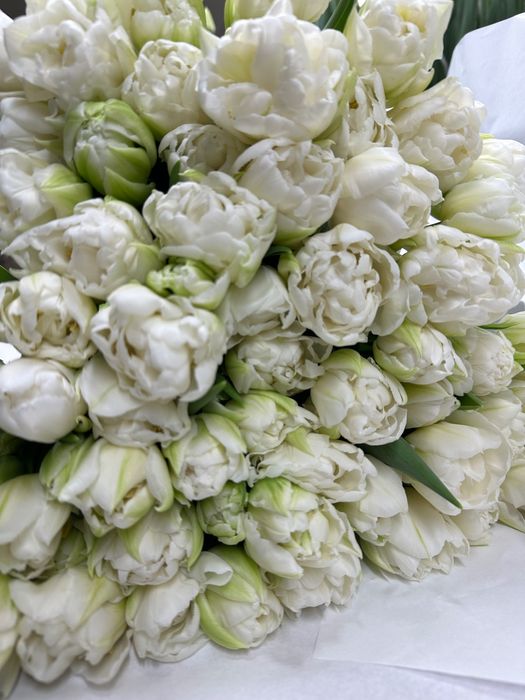 Зріз тюльпанів до 8 березня, 14 лютого