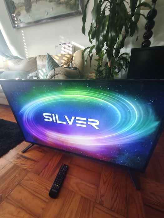 Televisão 44" silver