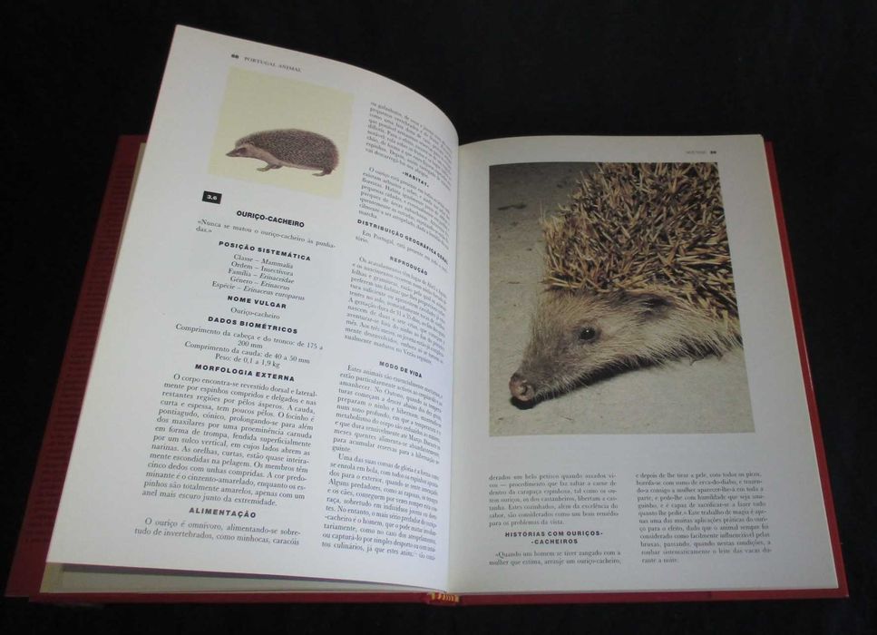 Livro Portugal Animal Clara Pinto Correia António José Cidadão