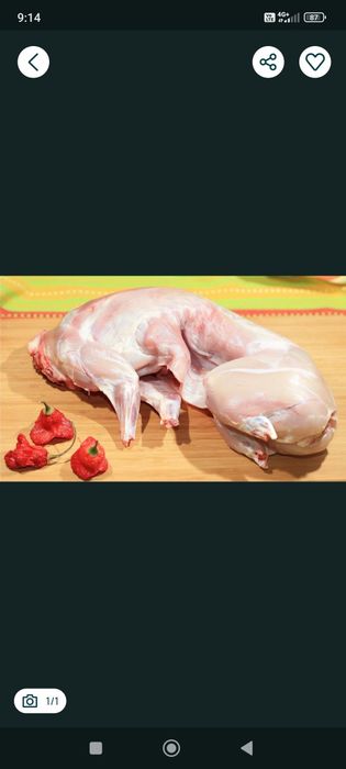 продам м'ясо кролиа