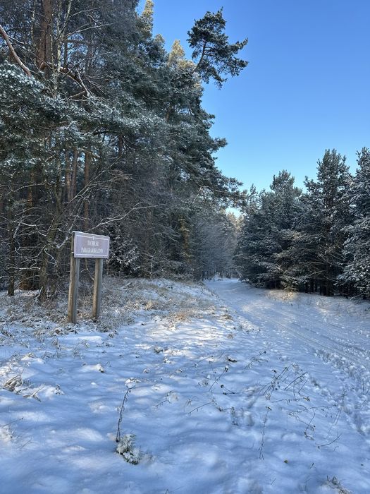 Działka budowlana ok 1000m2 w sercu Borów Tucholskich