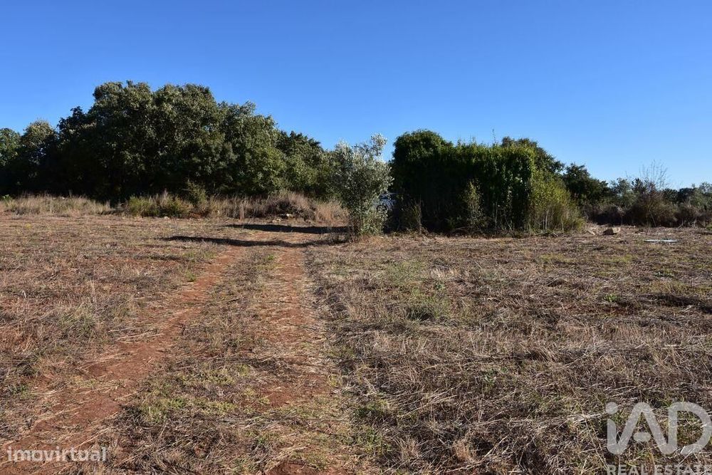 Terreno para construção em Areias e Pias de 8120,00 m2