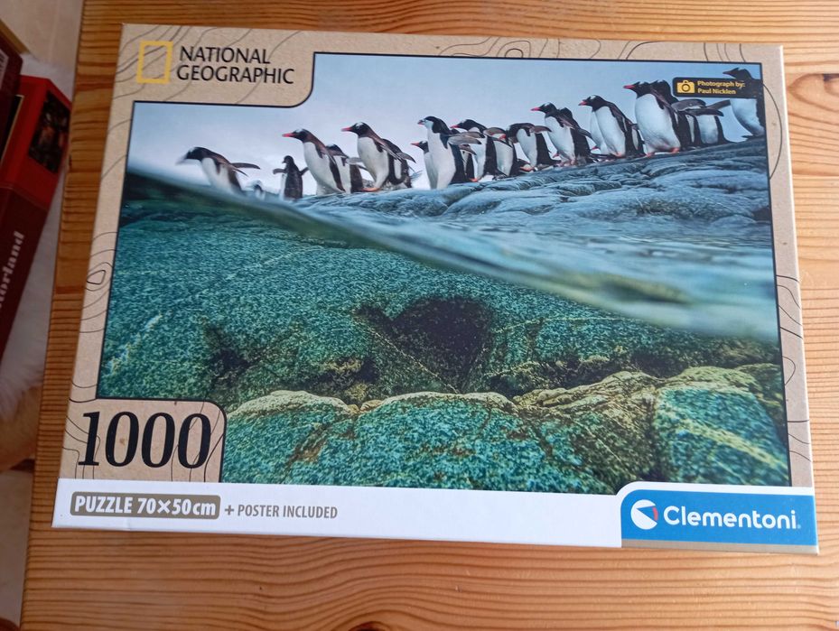 Puzzle 1000 National Geografphic "Pingwiny"