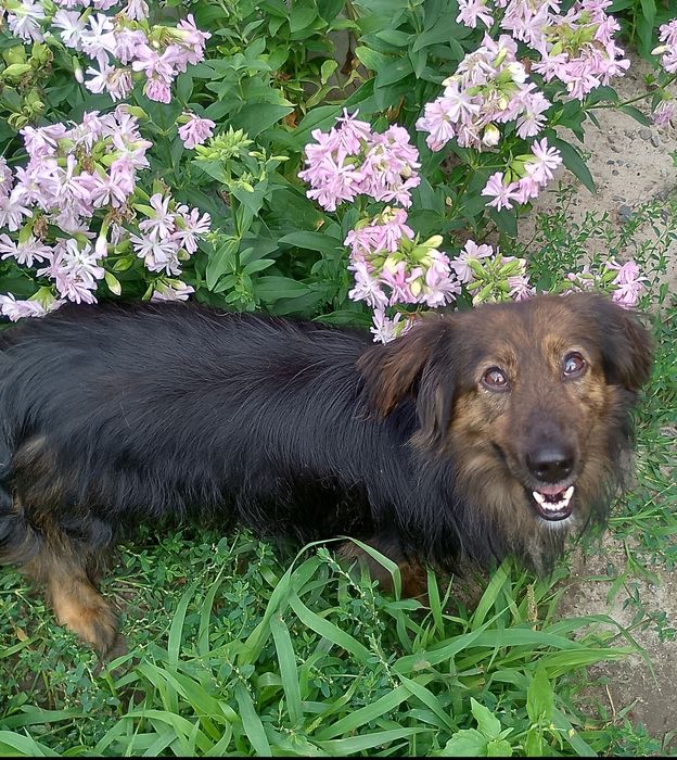 Малюк Блек! Хлопчик друг! 1 рік