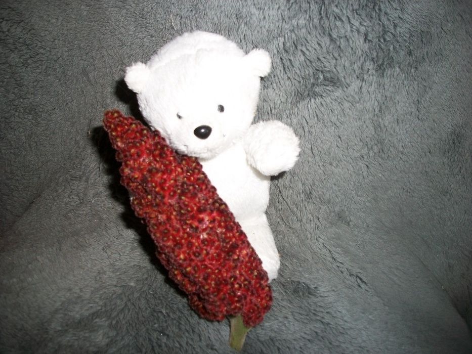 Продам сумах  дерево. приправа и энергетический напиток.