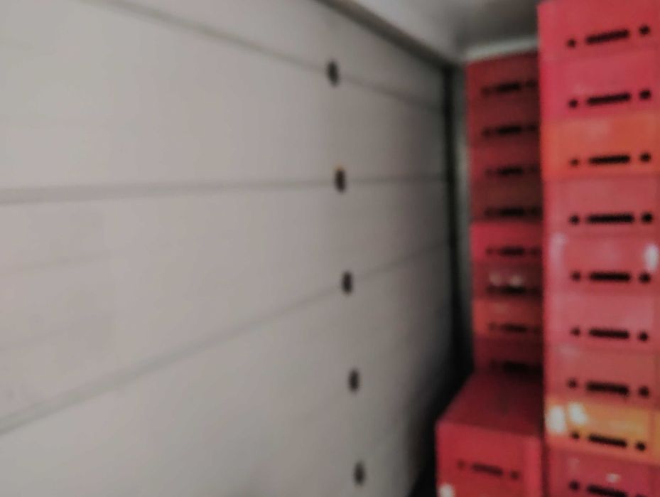 Komora chłodnicza viessmann monoblok