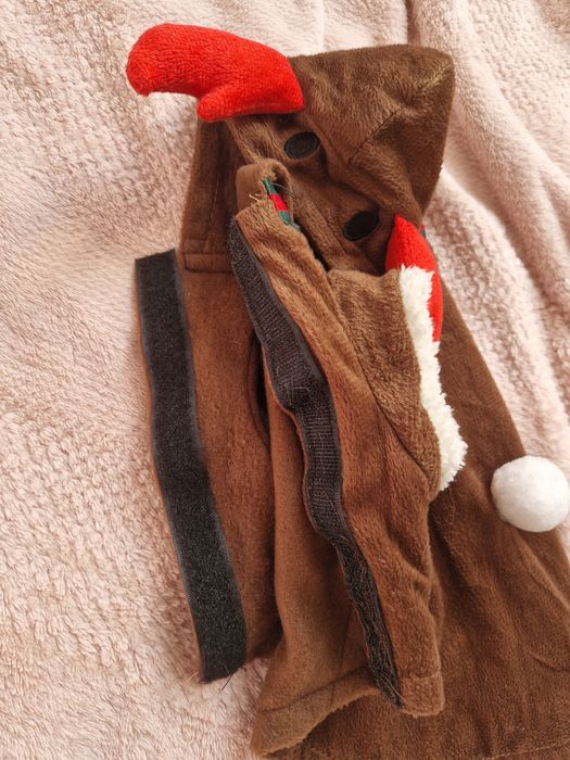 Ubranko świąteczne dla psa