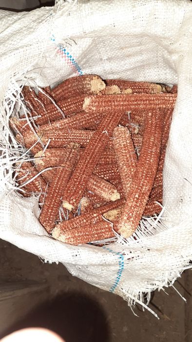 Продам Чишщенные   Качаны  Кукурузы