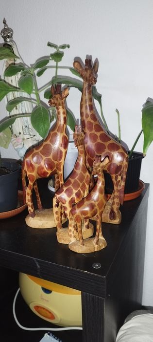 Girafas decoração