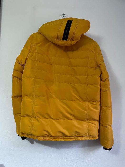 Quispo amarelo Tom Tom