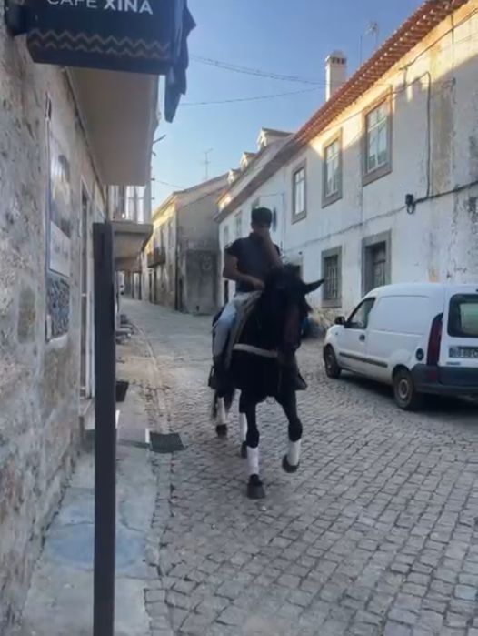 Egua muito bem montada