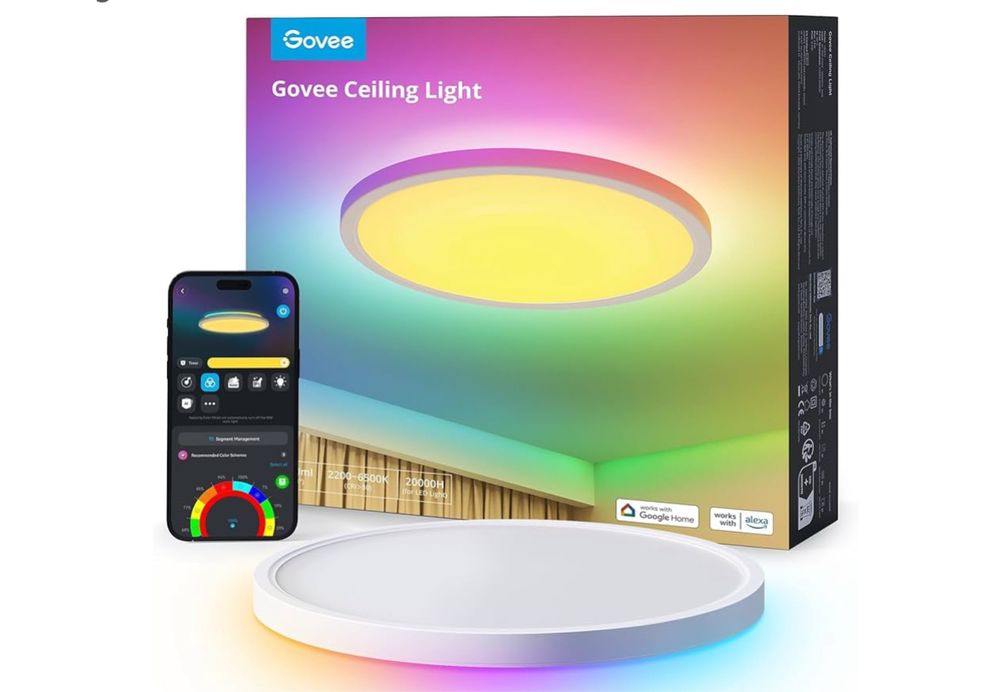 Govee Ceiling Light H60A1