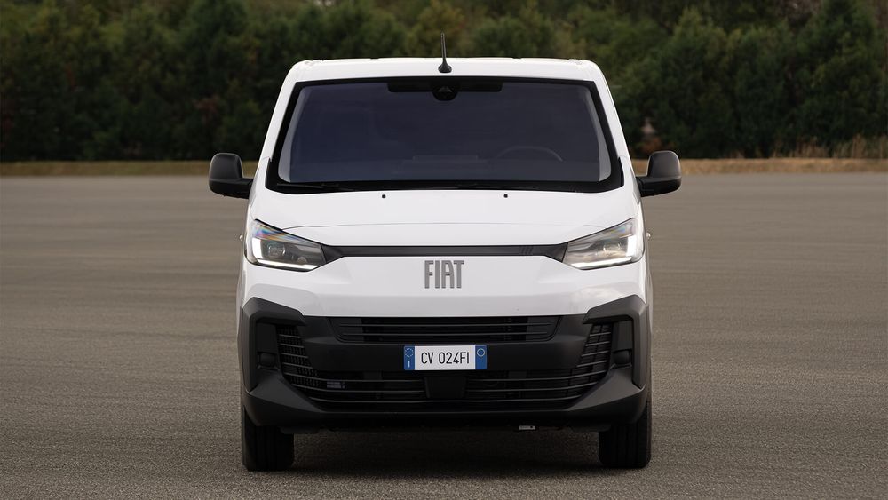 Zdjęcie w galerii numer 4