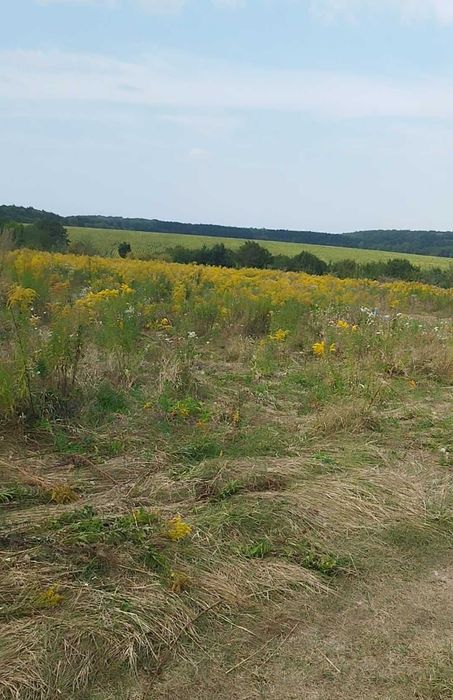 Продаж ділянки в Зарванцях вул.Багбунта