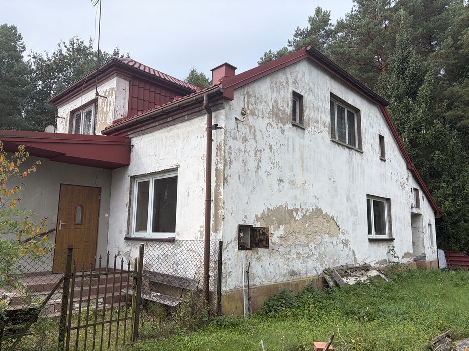 Zdjęcie 2