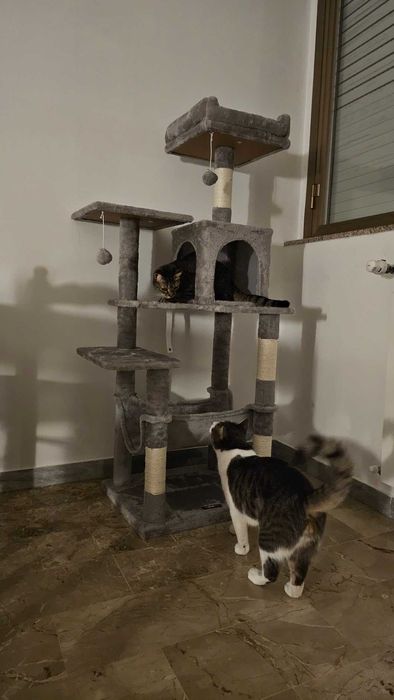 Drapak dla kota Wysoki duży drapak dla kota domek legowisko 143cm NOWY