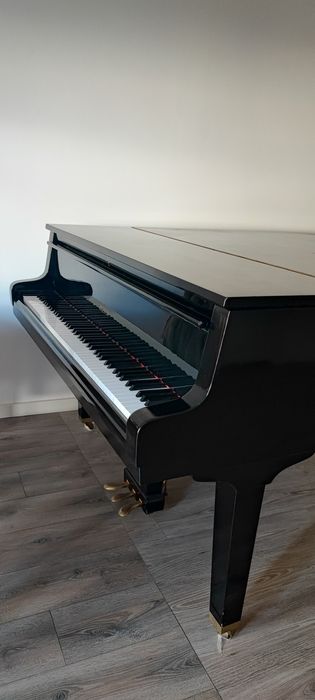 Vendo Piano Petrof 1/4 cauda
