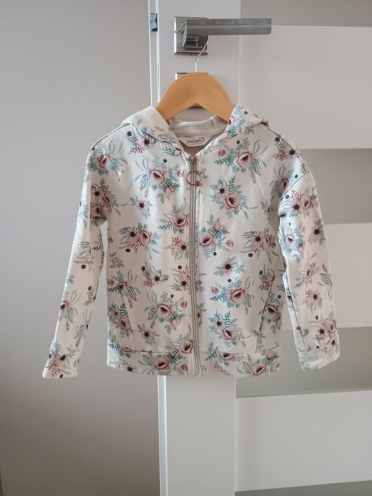 Bluza Coccodrillo