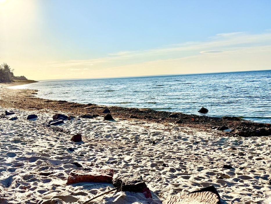 10 сот біля рибного каналу 250м поряд ліс та київське море терміново