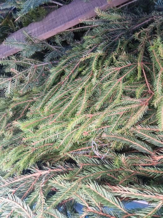 Ялинки на опалення/корм/в утіль