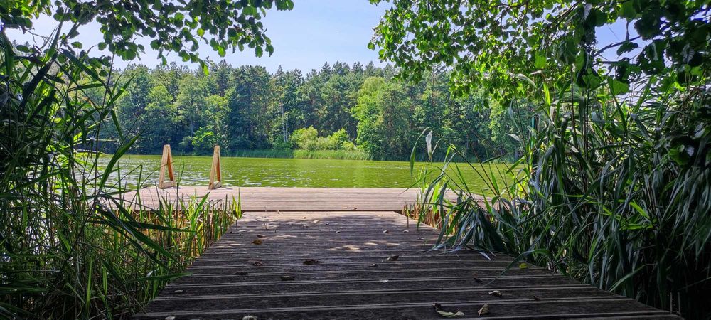 Domek nad jeziorem z linią brzegową i pomostem. Puszcza Barlinecka.