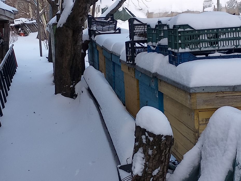 Вулики, рамки,защолки
